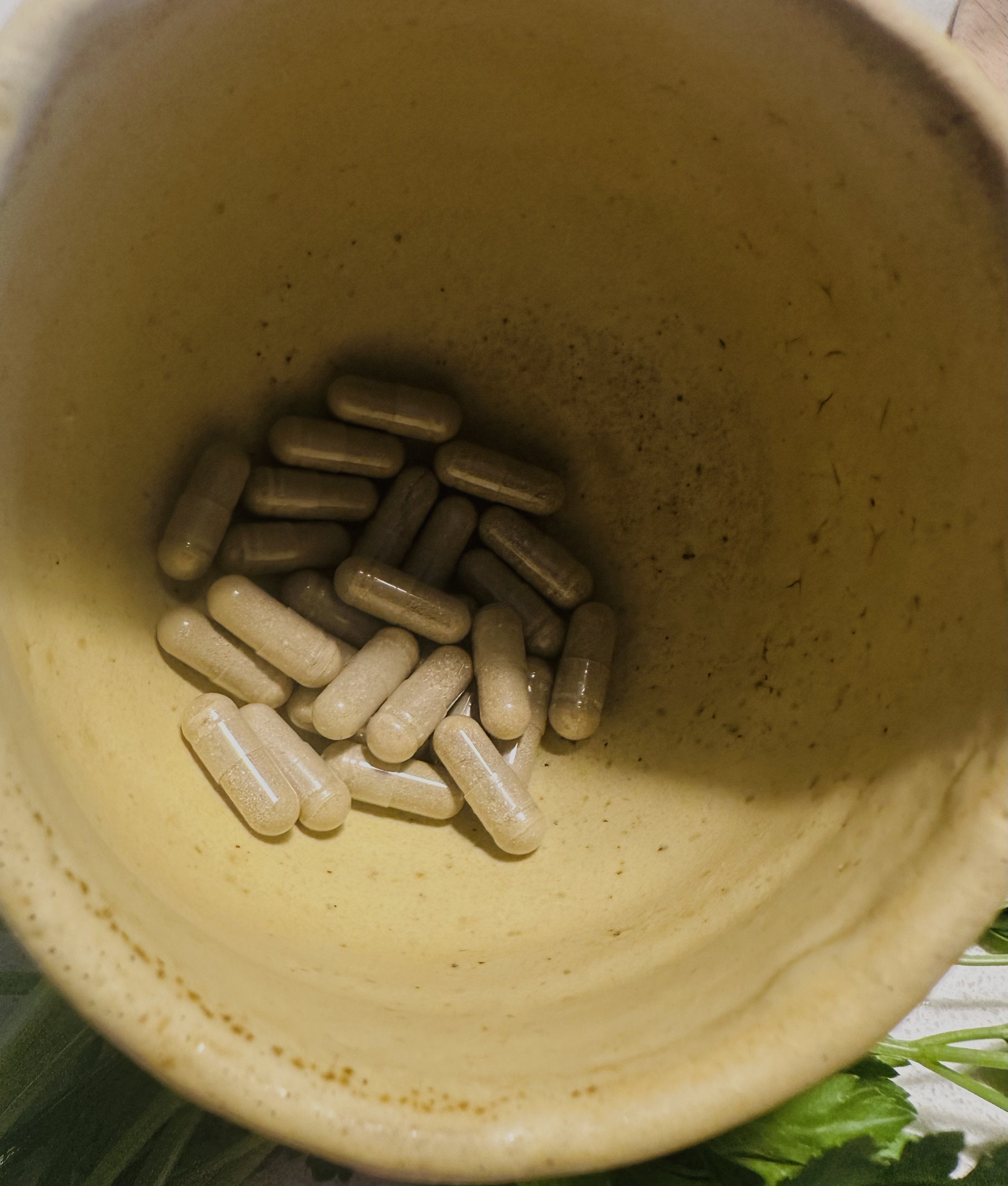 HERBS