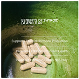 Thyroid Glandular 120 capsules (Multi Glandular)